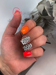 Фото компании  nails studio 4