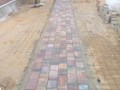 Фото компании ИП Тер-Никогосян А.Е. Завод вибропрессованной брусчатки 6