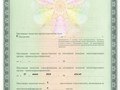 Фото компании ООО Клиника «ИнтелПлюс» 2