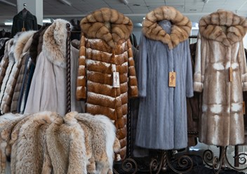 Фото компании  Меховая фабрика "Эдита" 2