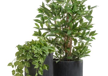 Фото компании  Зеленый Дворик 2