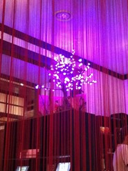 Фото компании  Цветение Сакуры, ресторан японской кухни 29