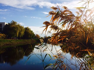 Фото компании  Парус 17