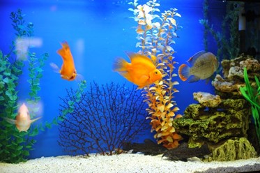 Фото компании  Аквабар, ресторан 2