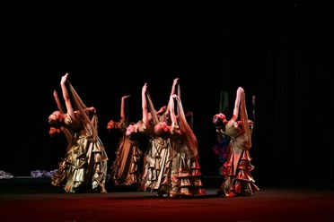 Фото компании  Танцевальная школа "Мир танца" 14