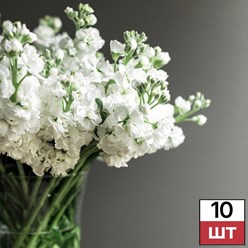 Фото компании  Не Букет 13