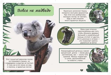 Вёрстка книг