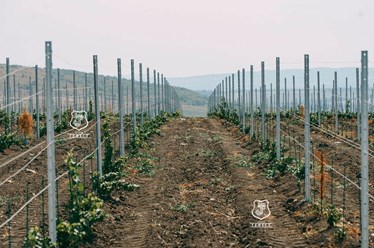 Фото компании ООО Гефест завод 11