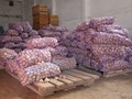 Фото компании ООО Картофель со склада в Вологде 1