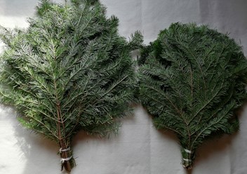 Фото компании  ВенБа 2