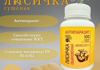 Лисичка обыкновенная в капсулах: концентрированная сила дикой природы для иммунитета