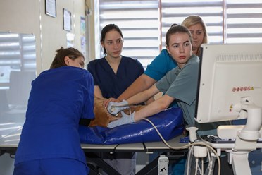 Фото компании ООО Планета 23