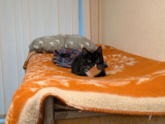 Фото компании ООО Рабочий Дом 28