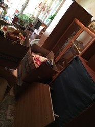 Фото компании ООО "Грузис НН" Автозаводский 104