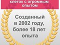 В 2020 году - более 210 тысяч хранимых образцов гемопоэтических и мезенхимальных стволовых клеток пуповинной крови и ткани.