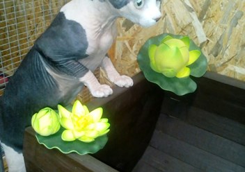 Фото компании ООО Котэль 2