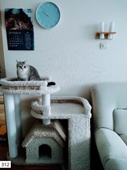 Комплекс с домиком для кошек