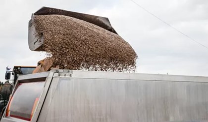 Фото компании  Моснеруд 1