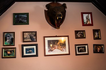 Фото компании  Золотой медведь, ресторан 12