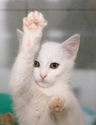 Фото компании ООО Планета 4