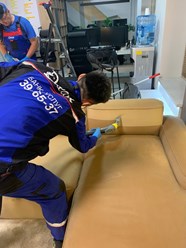 Чистка дивана в офисе.