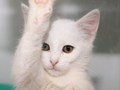 Фото компании ООО Планета 4