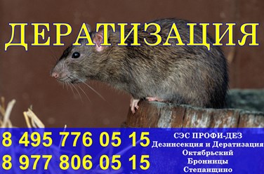 Фото компании ООО Профи - Дез 3
