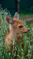 Фото компании ИП Чудесный 17