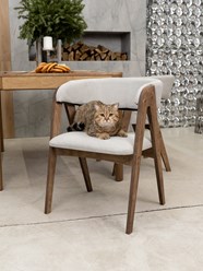 Фото компании  ZASIDELIS 13