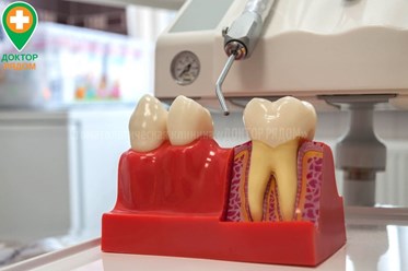 Фото компании ЧП Доктор рядом 10