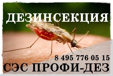 #дезинфекция 
#уничтожениеклопов 
#дезинсекция 
#уничтожениеклопов 
#уничтожениенасекомых 
#дезинсекцияколомна 
#дезинфекцияколомна 
#уничтожениекомаровколомна 
#уничтожениеклоповколомнепрофидез
