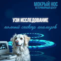 Фото компании ООО Мокрый нос 12