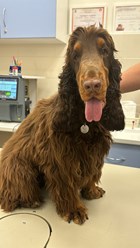 Фото компании  Веда 11