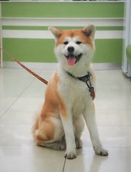 Фото компании ООО Веда 15