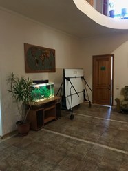 Фото компании АНО Новый Путь 4