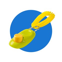 Фото компании ИП Dog is love 7