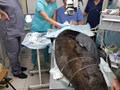 Фото компании  Центр ветеринарной офтальмологии доктора Шилкина А.Г. на ул. Островитянова 3