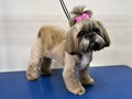 Фото компании  ZooMeister 3