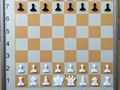 Шахматные демонстрационные настенные доски 60 х 60 см*.