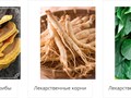 Фото компании  Фито-Аптекарь 4