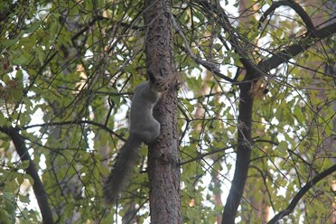 Фото компании  Сосновый Бор 4