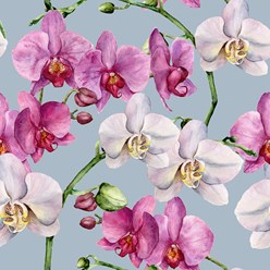 Фотообои Орхидеи розовый фуксия голубой зеленый