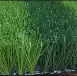 Фото компании  Армада Грасс 14