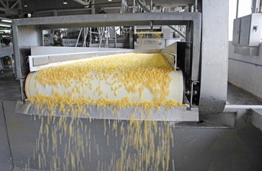 Производство 6000 тонн макаронных изделий для Китая.