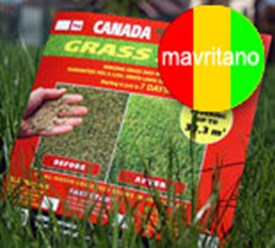 КАНАДА ГРИН Canada Green  – Лучшая Газонная Трава для Города, Дачи или Спорта!!!
Наши магазины с самым полным ассортименте газонных травосмесей Канада Грин:
1) Центральный офис.  Главный и самый первы