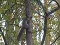 Фото компании  Сосновый Бор 4