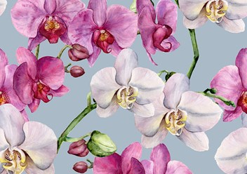 Фотообои Орхидеи розовый фуксия голубой зеленый