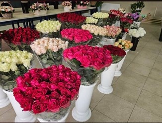 Фото компании ИП ЦветоБар 23