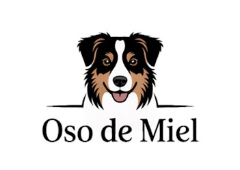 Фото компании  Oso de Miel 4
