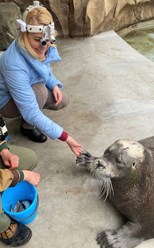 Фото компании  Центр ветеринарной офтальмологии доктора Шилкина А.Г. на ул. Островитянова 6